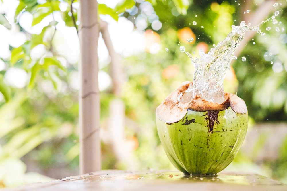 Coconut Water