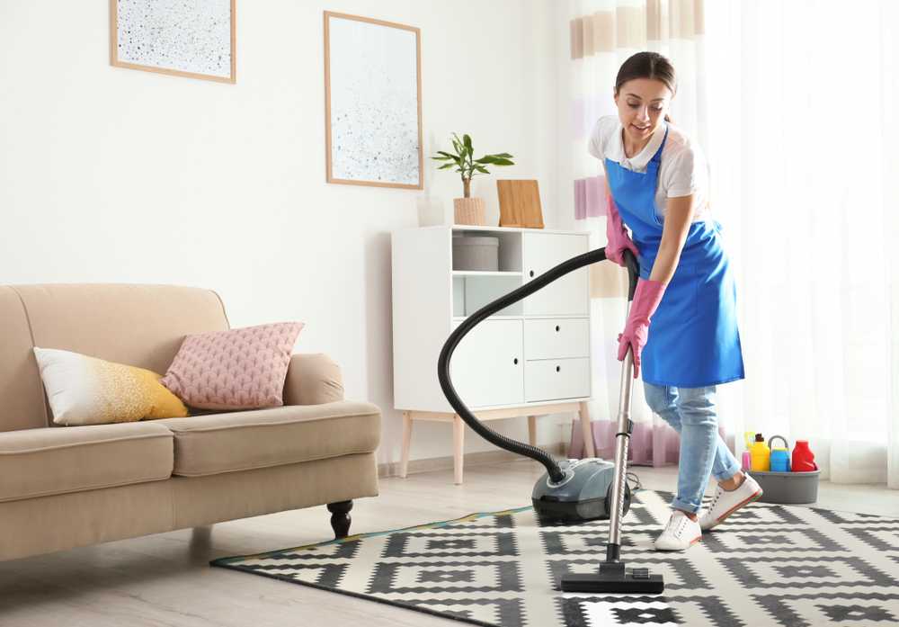 Cleaning Services and Housemaids