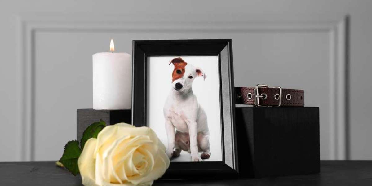 15 Heartwarming Pet Loss and Memorial Gifts