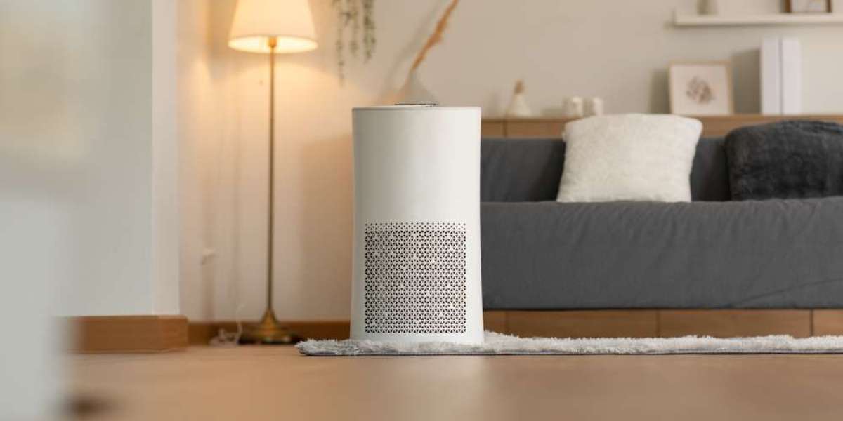 The 11 Best Air Purifiers of 2024