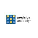 Precision Antibody