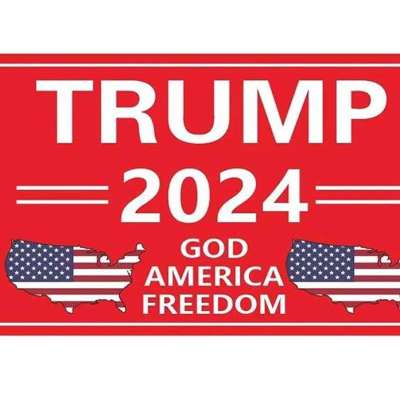Trump 2024 Flag - President Donald Trump Flag God America Freedom Flag，with Heavy Brass Grommet Profile Picture