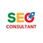 SEO Consultant