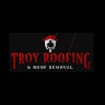 Troy Roofing