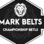 NFL Title Belt