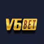 v6bet company