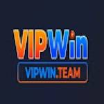 Vipwin team