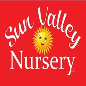 Sun Valley Yard Consultation