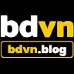 BDVN Blog