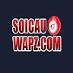 Soi Cau Wap