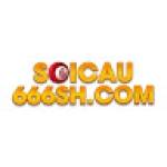shcom soicau666