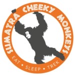 Sumatra Cheeky Monkeys