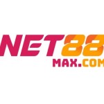Net88 Maxcom