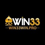 Win33 winpro