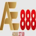 AE888 217 80