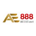 AE888 ae113