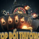 Topdoithuongbiz