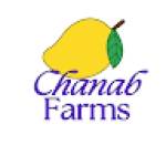 Fresh Mangoes Price in Pakistan