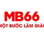MB66