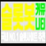 온라인 슬롯