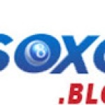 Trang vnsoxo chính chủ