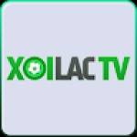 xoilactv tube
