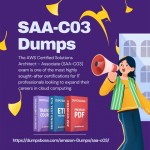 SAA C03 Dumps