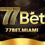 77BET miami