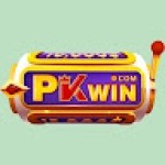 PKWIN dev