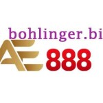 AE888 Bohlinger