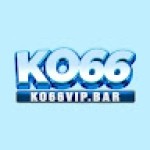 Ko66 Vipbar