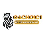 GACHOIC1 ĐÁ GÀ TRỰC TIẾP THOMO CAMPUCHIA HÔM NAY