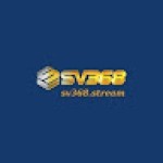 Sv368 Nhà cái đá gà trực tiếp hàng đầu