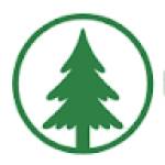Cedrus Silicone