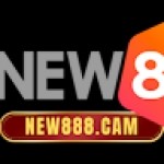 8cam new88