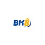 BK8 cheapcelinehandbagsale