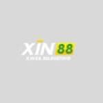 XIN88 marketin