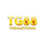 TG88 THIÊN ĐƯỜNG GIẢI TRÍ CÁ CƯỢC TRỰ