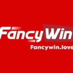 Fancywin Fancywin love
