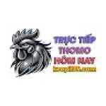THOMOHOMNAY ĐÁ GÀ THOMO TRỰC TIẾP HÔM NAY