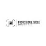 Professional Drone Services of Texas