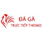 Đá Gà Trực Tiếp Thomo Hôm Nay