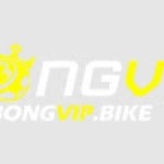 BONGVIP bongvipbike