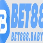 Bet88 Baby