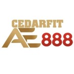AE888