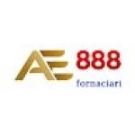 AE888 Fornaciari