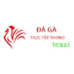 Đá Gà Trực Tiếp Thomo Hôm Nay