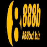 888b dbiz