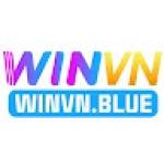 punchnels winvn