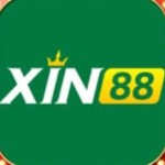 Xin88com info